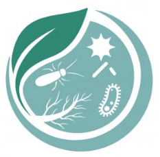 Captura de pantalla de 2020-06-05 16-41-30